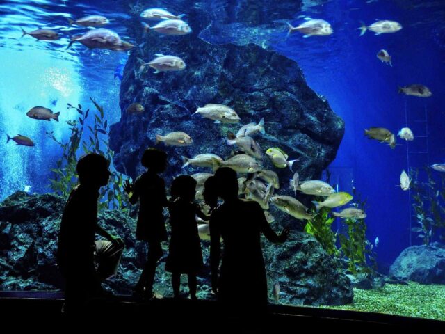 post_capetown_01 https://www.tailsofaruba.com/wp-content/uploads/2018/08/post_capetown_01-640x480.jpg