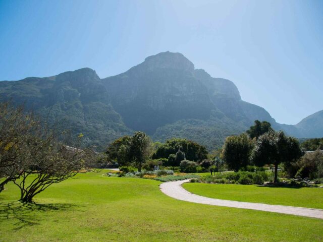 post_capetown_04 https://www.tailsofaruba.com/wp-content/uploads/2018/08/post_capetown_04-640x480.jpg