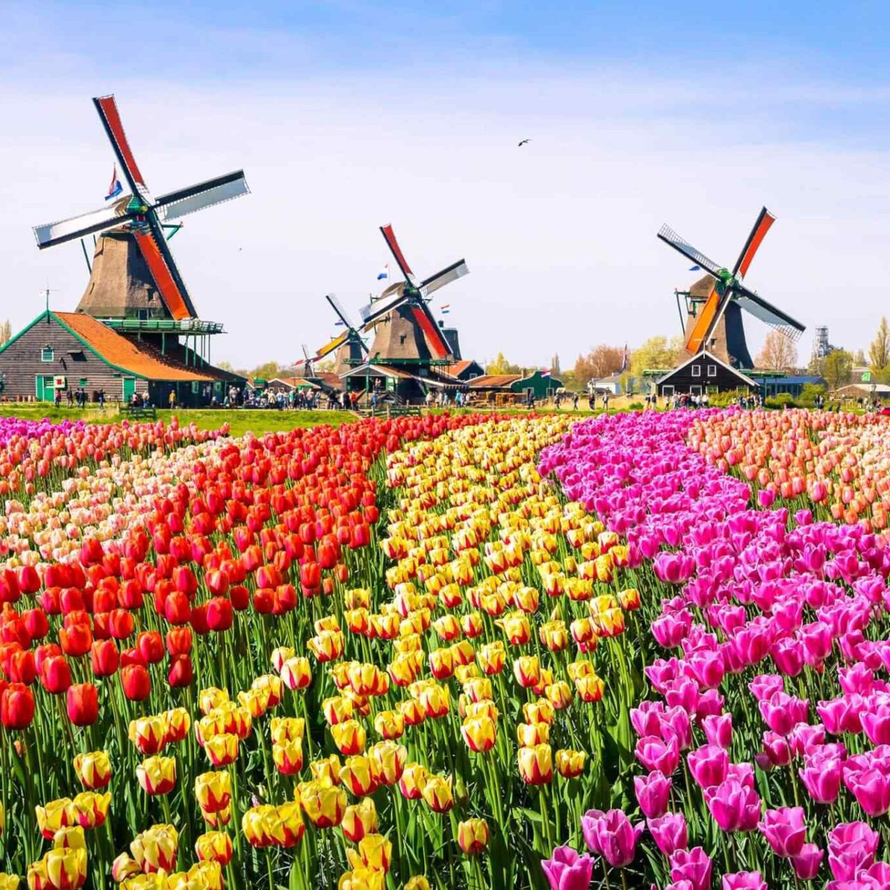 https://www.tailsofaruba.com/wp-content/uploads/2018/09/destination-netherlands-01-1280x1280.jpg