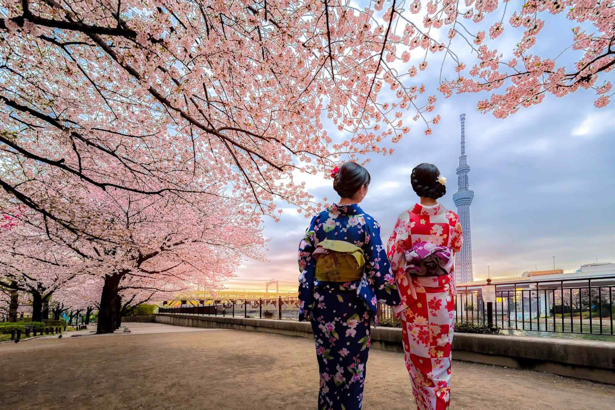 https://www.tailsofaruba.com/wp-content/uploads/2018/09/destination-tokyo-03.jpg