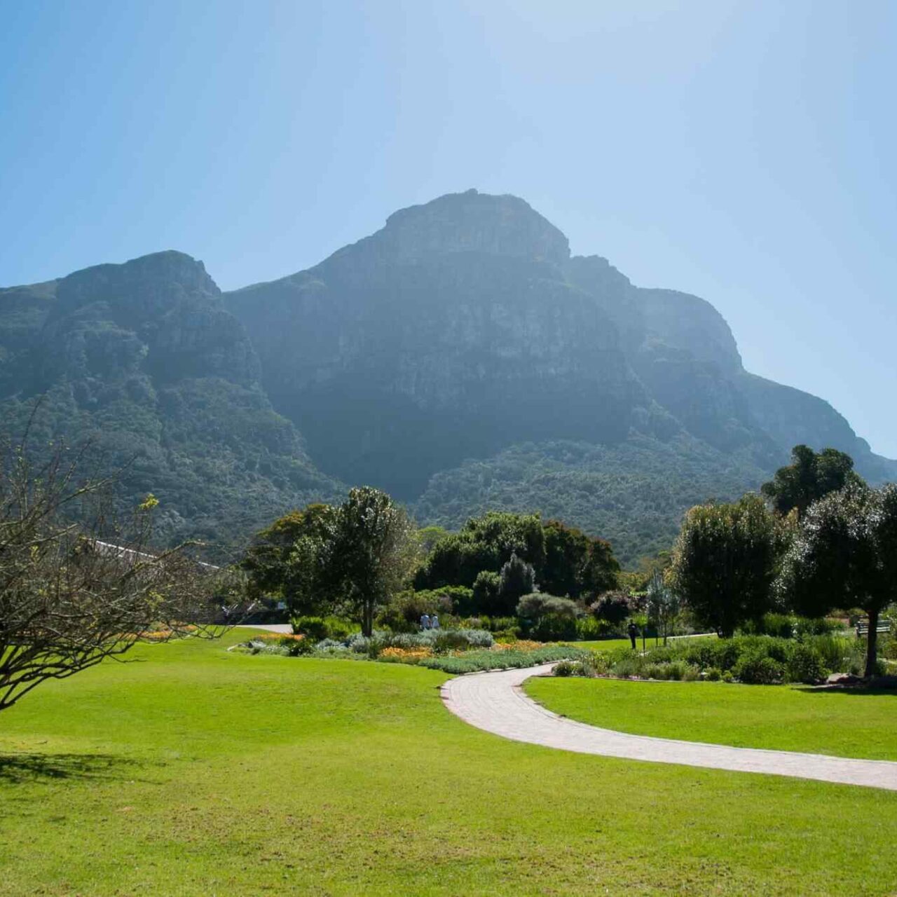 https://www.tailsofaruba.com/wp-content/uploads/2018/09/tour-capetown-03-1280x1280.jpg