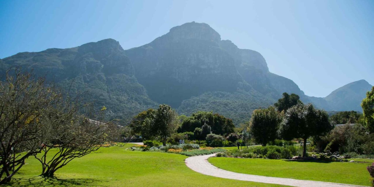 https://www.tailsofaruba.com/wp-content/uploads/2018/09/tour-capetown-03-1280x640.jpg