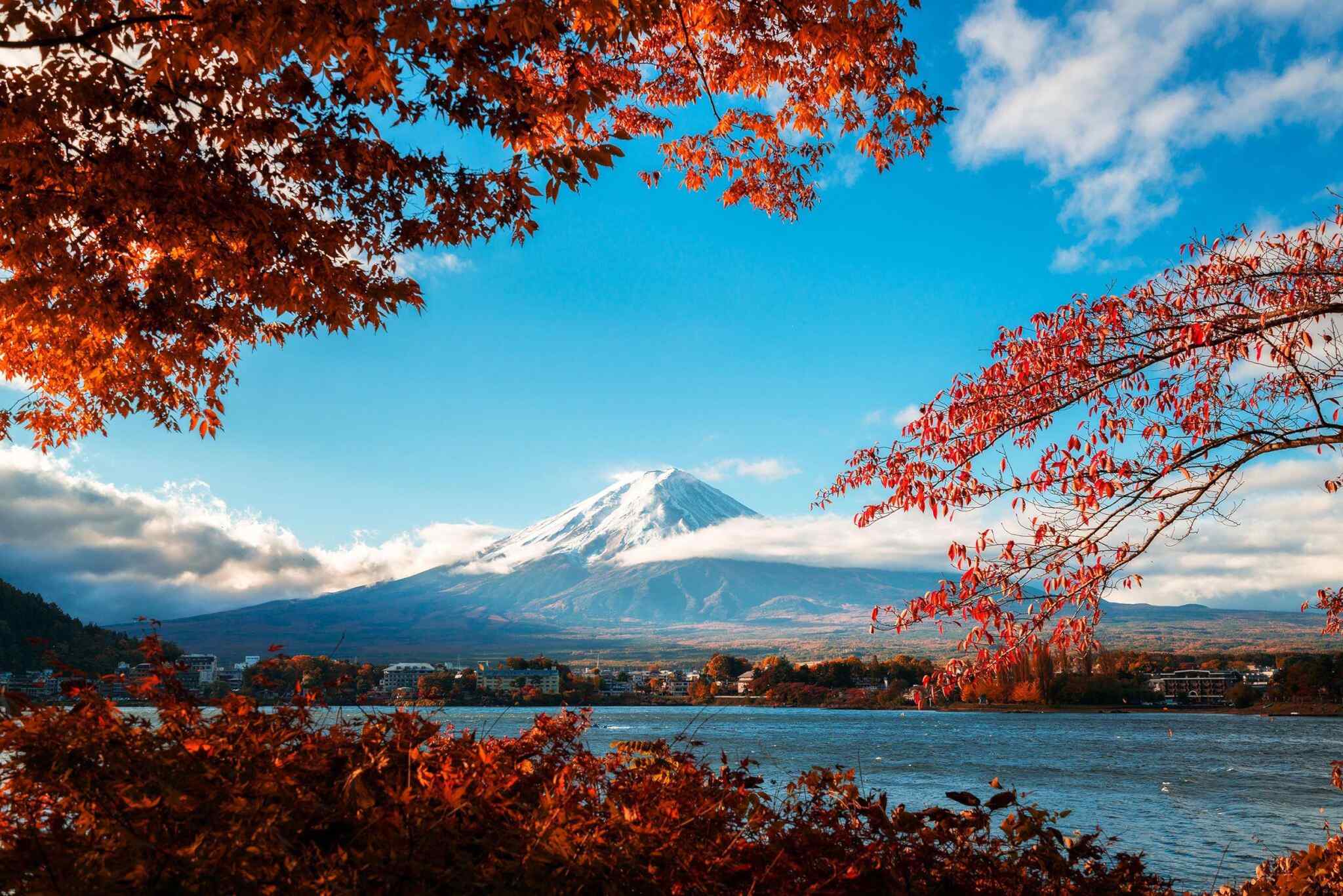 https://www.tailsofaruba.com/wp-content/uploads/2018/09/tour-fuji-04.jpg